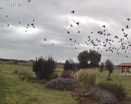 Agrivillage Tieró Lantgård Montalto di Castro